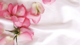 nice video Hi guys watch this beautiful video , #short