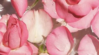 nice video Hi guys watch this beautiful video , #short