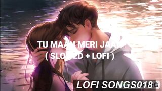 TU MAAN MERI JAAN {slowed reverb}