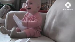 funny babies laughing cute baby laughing comedy