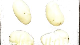 Baked potatoes بیک آلو