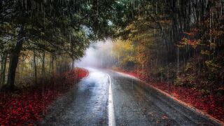 Relaxing with Nature Sounds