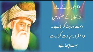 Best quotes islamic writes Official