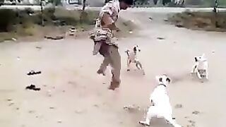 Dog attack on man