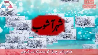 شہرِ آشوب کی اردو ادب میں کیا اہمیت ہے؟