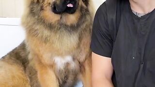 Hello, what was that.