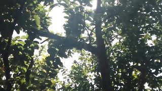My. Green. Guava