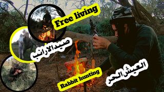 Wildlife: A Free Live Documentary Hunting Rabbit in the Wild