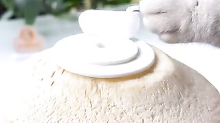 Smart Cat Makes the World‘s Best Coconut Soda !