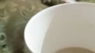 It's coffee time