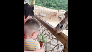 Funniest Fails Of The Year Compilation
