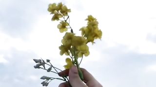 Song old