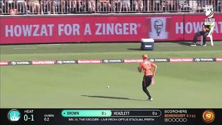 cricket enjoy
