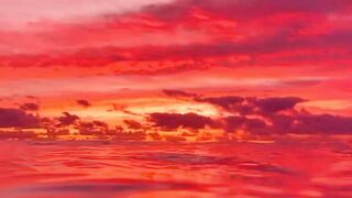 Nature's Beauty