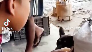 Funny Videos