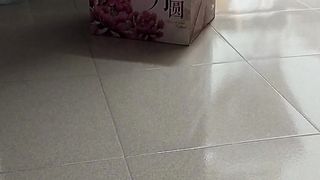 cat is wondering what's in the box