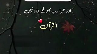 میره رب بولنے والا نہیں ..... میری ویڈیو کے اشتہار پر کلک کرکے دیکھیں