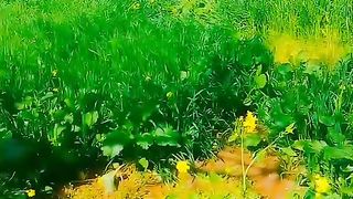 Beautiful view of my village