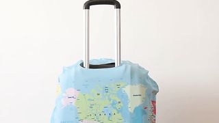 cat is planning her next world trip