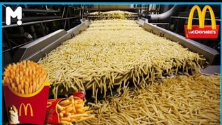How Are McDonald's French Fries Made. French Fries Processing Factory. Food Factory Production