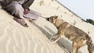 Funny video