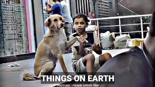 Dogs love ❤️ sigma rules || Inspirational status || Motivational Quotes