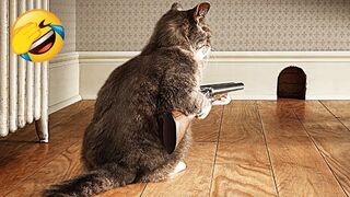 Funniest Animals 2023  Funniest Cats and Dogs