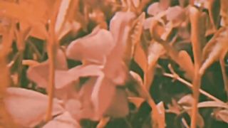 Koi chand rakh song