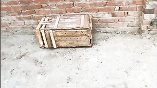 Ajj_Ak_Billa_Pakra_Gia||آج_ایک_بلا_پکڑا_گیا_#viralvideos_#pegion_#kabootar_@ZaibaSajidPigeonVlogs(360p)(1).