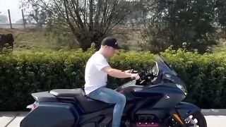 just reverse driving is Possible on Honda Goldwing