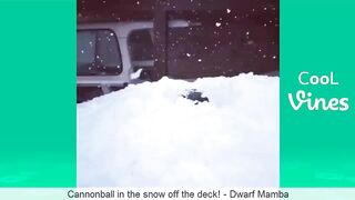 Funny 2023 compilation
