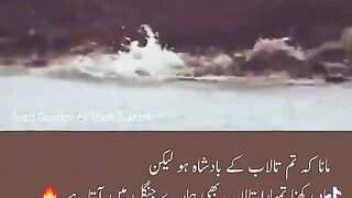 whatsapp status video