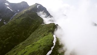 Beautiful Nature| Birds Chipping  ???? ???? ????