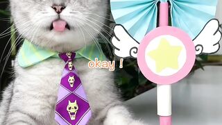 DIY Magic Wand And You Can Eat! ✨???? | Chef Cat Cooking #tiktok #Shorts