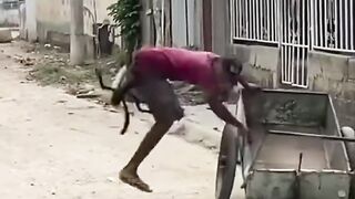 Funny video