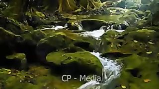 treatment video