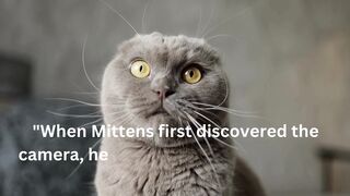 Funny cute Cats/10