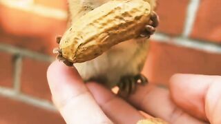 Funny Eating