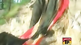 Aa kar gila gila o zakhmi dila