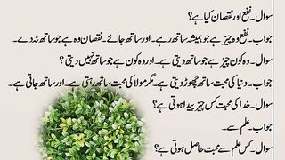 Best Knowlaged