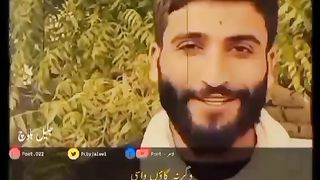 tiktok videos 2023