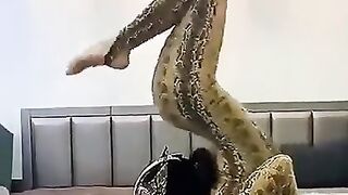 Magic video