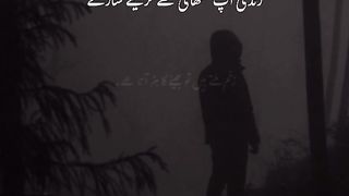 Urdu poetry