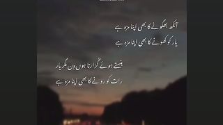 Poetry videos