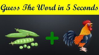 Can You Guess The Word In 5 Seconds