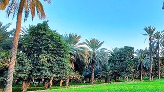 Sindh
