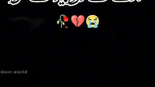 Saraiki status