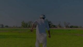 Very funny videos clips petrol tiktok