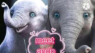 cute awwww