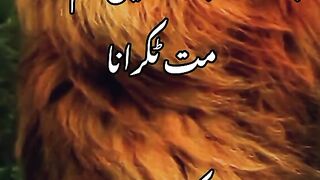 Saraiki shayari